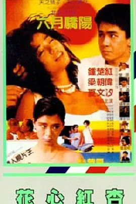 黑丝一区