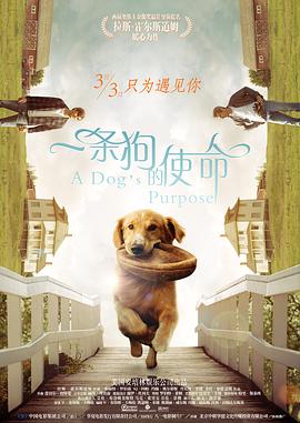 h视频导航