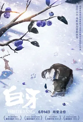 lgbtq+群体