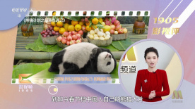 宝贝真乖高h